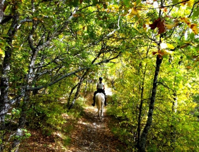  Un paseo inolvidable 